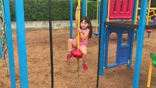 Luna climbing pole
