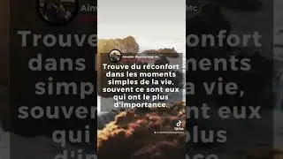 Trouve du réconfort #shortvideo #motivation #mymotivation #gratitudemindset #love #pourtoi