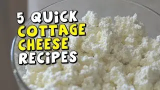 5 Quick Cottage Cheese Recipes