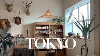 Tokyo Ginza, Hibiya, Shin-kiba | Must try Sushi Omakase, French Bistro & shopping