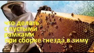 #Пчёлы