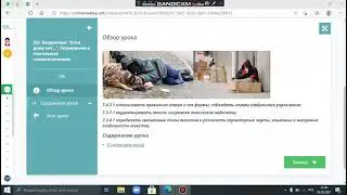 Урок русского языка «Бездомные: “Если дома нет…”. Управление в глагольных словосочетаниях», 7 класс.