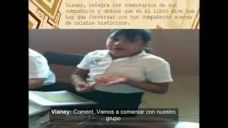 VIDEO 1  - LAS DIFICULTADES DE APRENDIZAJE TRANSITORIAS. Fallas en las Herramientas intelectuales.