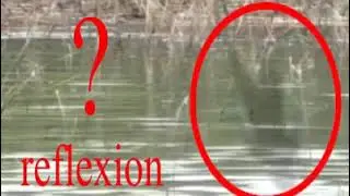 13 Korkunç Hayalet Videosu.İlginç videolar. 13 Scary Ghost Videos.Interesting videos.