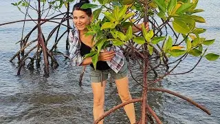 Thailand pattaya Mahan Coffee