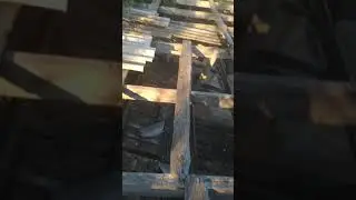 Гуляем по бане с друзьями