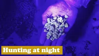 Beach after the storm - Nigh amber hunting