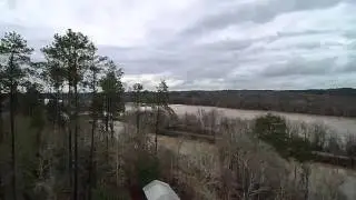 Savannah Locks