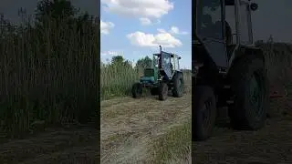 ЮМЗ-6 КЛ СГРЕБАЕТ СЕНО!