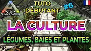 [FR] ARK Survival Evolved : TUTO DEBUTANT #6 La Culture (légumes, baies, plantes)