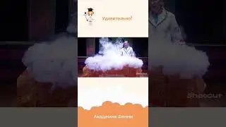 Какими словами мы бы описали Академию Фанни? Зажигательно! Удивительно! Познавательно! Увлекательно!