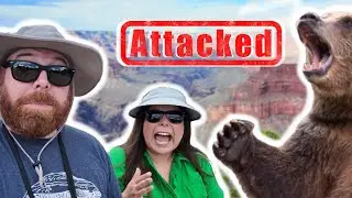 Almost ATTACKED on our Vacation!