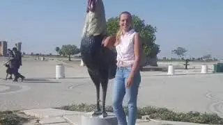 Памукуале из Алании от Алика