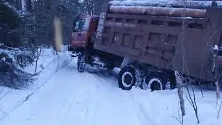 Вывоз леса