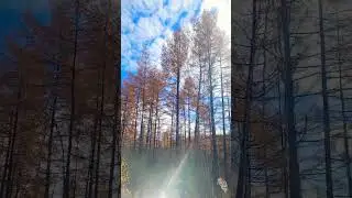 дорога но Новый Ургал. Чегдомын