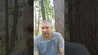 Созидательная сила "Настоящего момента"
