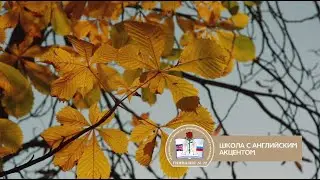 Школа 22   2023 год
