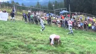 Вот это мочат ребята