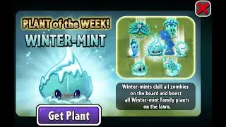 Plants vs Zombies 2–Winter-mints POTW Thymed Event (Level 1-5)