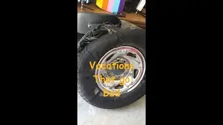 Vacations That Go Bad