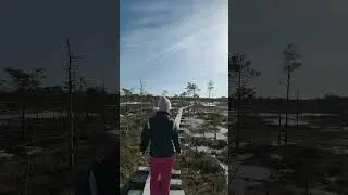 Прогулка по Эстонскому болоту.