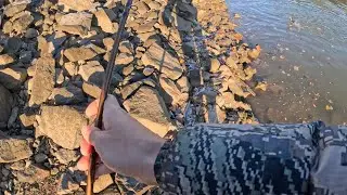 Unexpected catch while #coho #fishing
