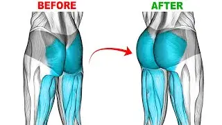 Best Exercises for Muscular Curves