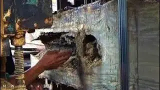 found honey in this teak wood