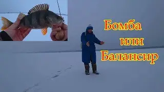 GRANDFATHER TOLD HOW HE CATCHED HUGE PERCH WITH A BOMB