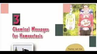 Class 10, SCERT Biology, Chapter 3,Chemical Messages for homeostasis