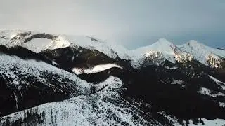 Zdiar 2019