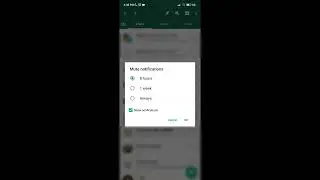 How to Mute Notification for Particular Person WhatsApp