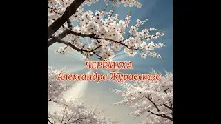 ЧЕРЁМУХА