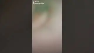 Tik Tok
