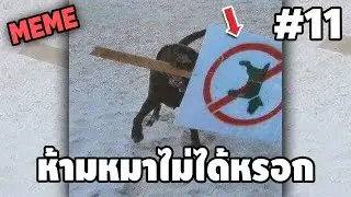 ภาพนี้ก็ฮาเหมือนกันนะเนี้ย #11 SS8 [ พากย์นรก MEME.EXE ] | easy boy