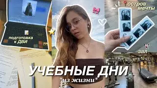 УЧЕБНЫЕ ДНИ ИЗ ЖИЗНИ | готовлюсь к ДВИ, *много* учусь & остров мечты!