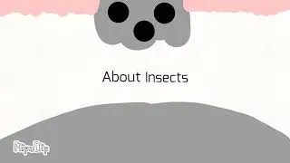 About Insects and their types ( Animation )