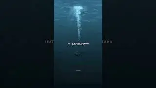 #цитата