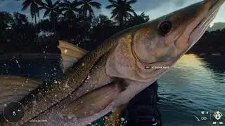 Far Cry 6 - Shark Hunting & FIshing! (4K 60FPS)