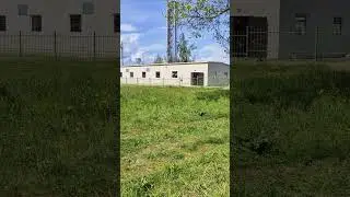 21 мая 2024 г.