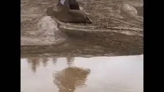 Excavator Operator saves deer from mud hole