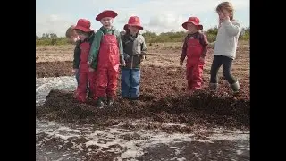 Let’s open up the world for your young explorer