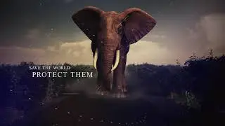 Slideshow - Nature is the Main 🌎 🤲 🌱