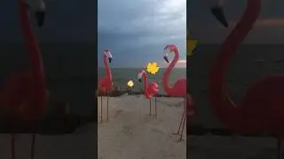 Это лето  прошло. Ейск. 1 сентября.
