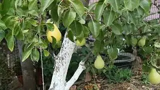Харцызск, обстановка...