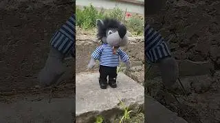 Поющий Волк На Улице.