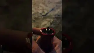 вечер не удался