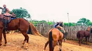 A VAQUEIRAMA NA PEGA DE BOI NO MATO - @WilamyCastro