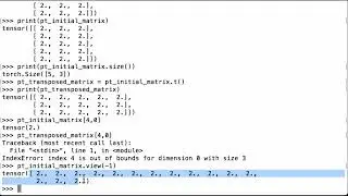 Move PyTorch Tensor Data To A Contiguous Chunk Of Memory - PyTorch Tutorial