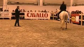 Equitana 2015, Ausbildungsdemo Gangpferde mit Kaja und Stephan
